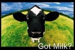 Have you….g0tmilk ??